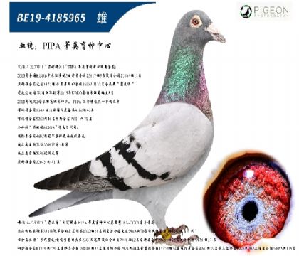 ʱ911ֱӣٶһ