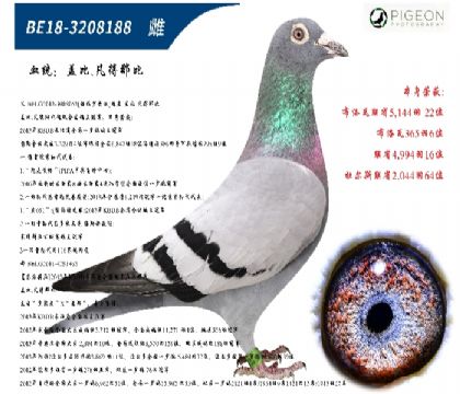ǱȷǱԭᣨرƼ