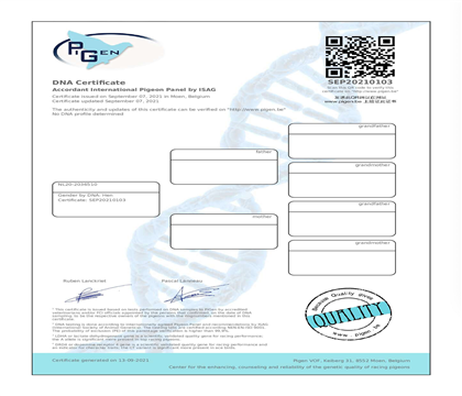 DNA