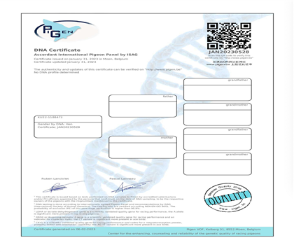 DNA