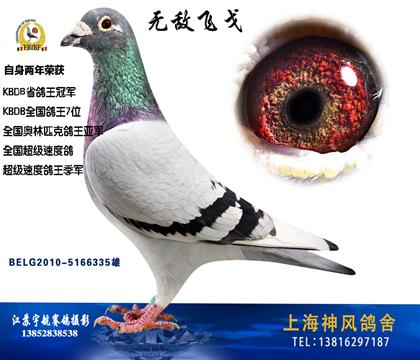 游