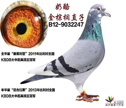 游
