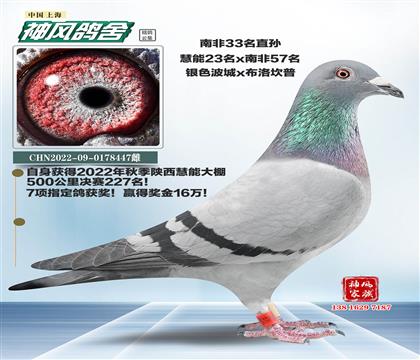 ĸ