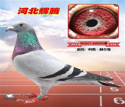 ĸ
