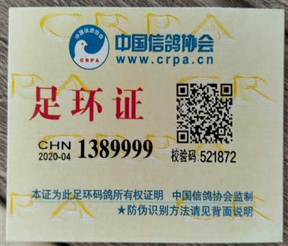 㻷