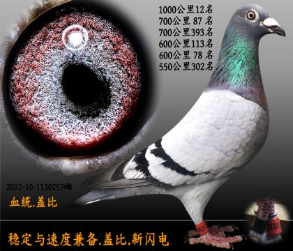 Ǳ