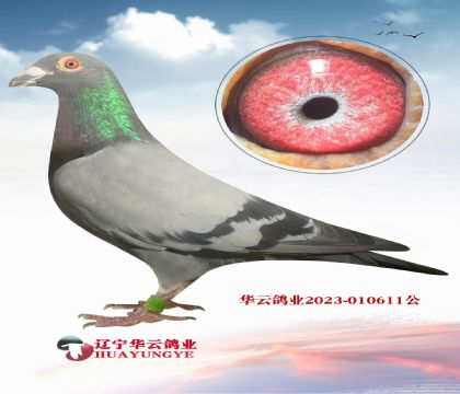 һ200ھĳɣʿѪϵ