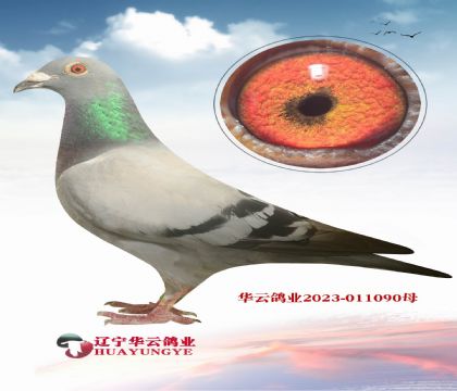 ԶؼҵѪϵ