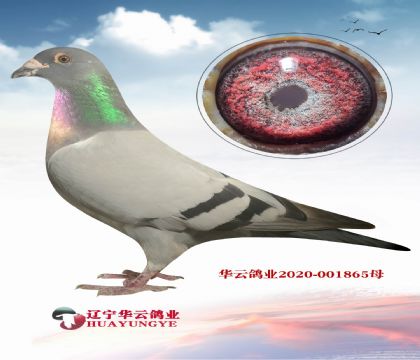 12޻شϺ칫ֱxش740ֹŮ