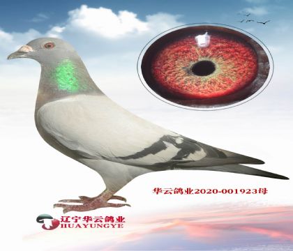Ŵ740 ĳĸ  ط 3ھ