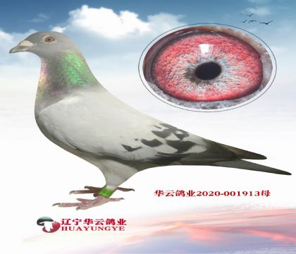 ñϷֱXīƶŮ