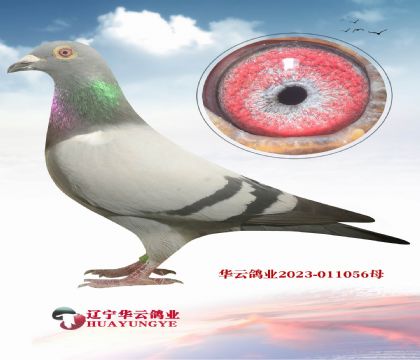 ˸뱾صָ شϺ칫ֱϵ