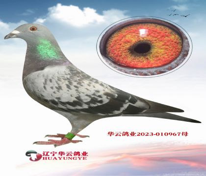 ĸ 游ĸ 游 ĸ Ƿƿ˼ҵľ