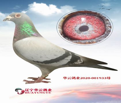 ֱXǪֱŮ ֲ˫Ǿ