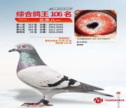 北京八一付丙臣--北京开创者北部赛区四关综合106名