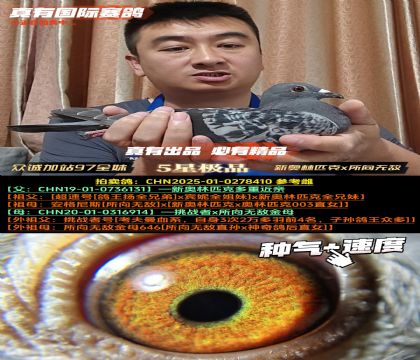 《众诚加站97名全妹》新奥林匹克x所向无敌