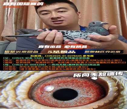 《祖辈近亲回血》新奥林匹克近亲