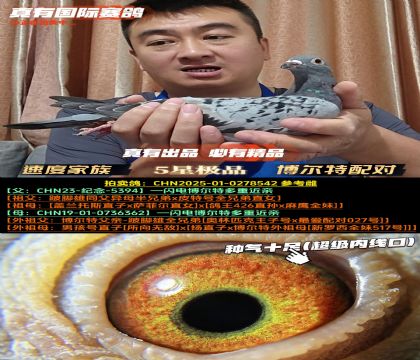 《速度家族》博尔特配对