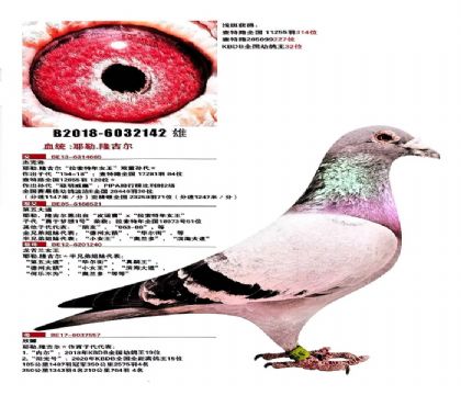 捡漏