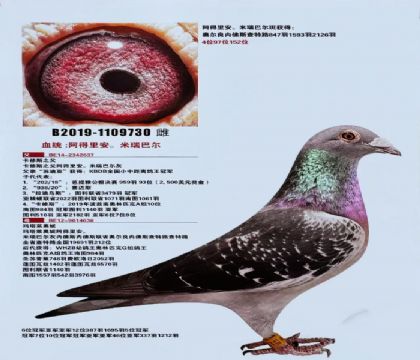 捡漏