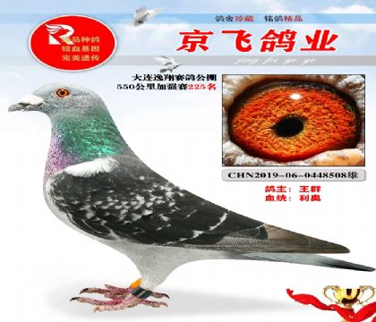 蹫550ǿ225