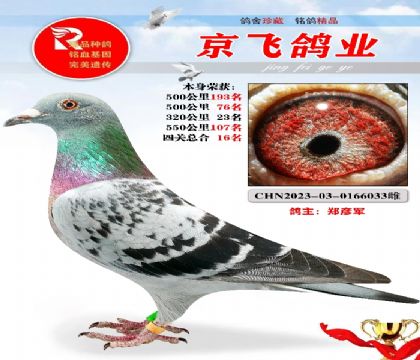 四关综合16名