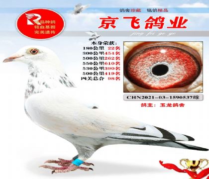四关综合98名