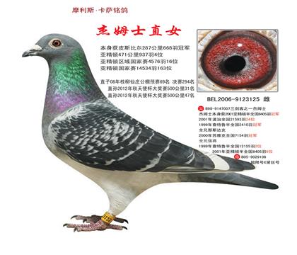 ĸķʿֱŮ