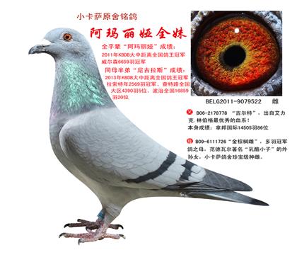 ĸȫ