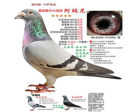 游