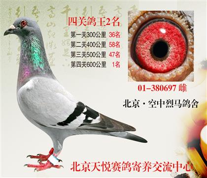 ĸ 600ھ