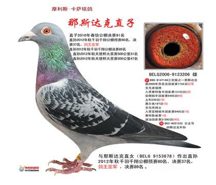 游˹ֱ