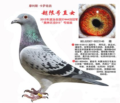 ĸ޺ֱŮ