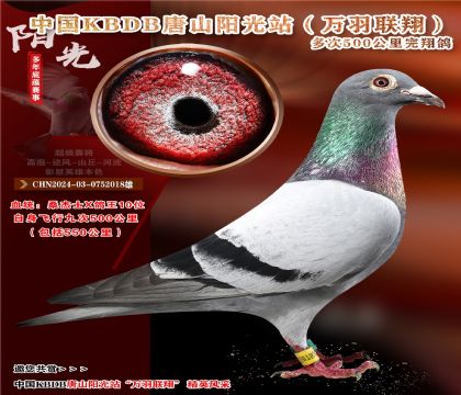 桑杰士.万羽9次五百公里完翔