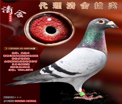 桑杰士.公棚决赛6名平辈