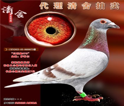 重点推荐“红利奥073”
