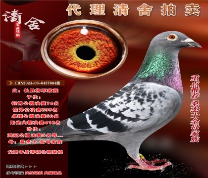 重点推荐“桑杰士金母X公棚实战系”
