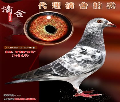 雷德曼“好花”家族.70名直子