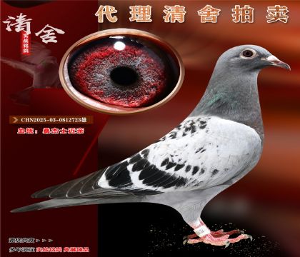“桑杰士近亲”