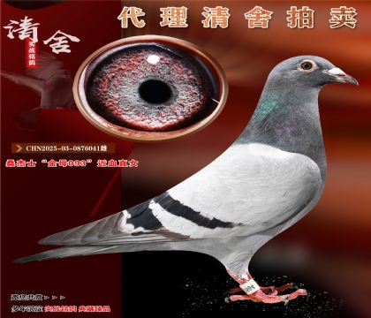 桑杰士“金母093”近亲直女