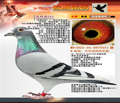 2-޵XǾȫ-ֱ5551