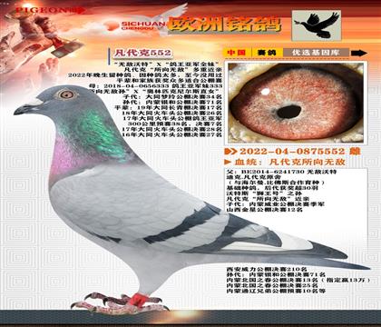 3-޵XǾȫ-Ӵ5552