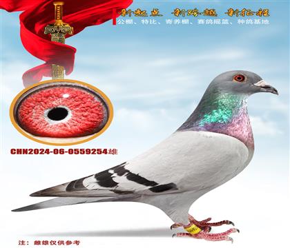 塢ƽ