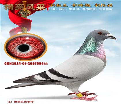 С񿪴Ǿ塢654