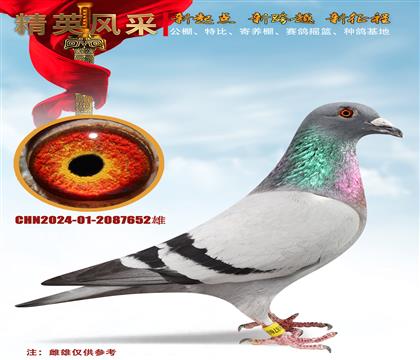 С񡢿Ǿ652