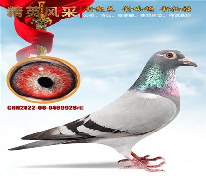 ĸ928
