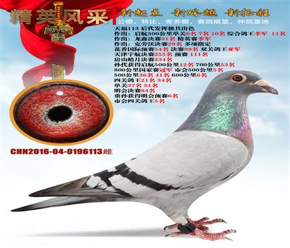 츣ĸ113