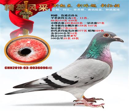 ҡ³ֱŮ