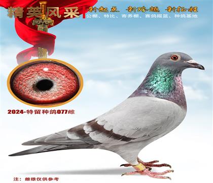 ҽķƸȫ
