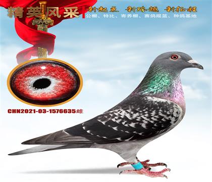 Ǹҵͼ˹סھ